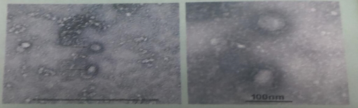 3E43A030903610EC5CA1F19CC396012A